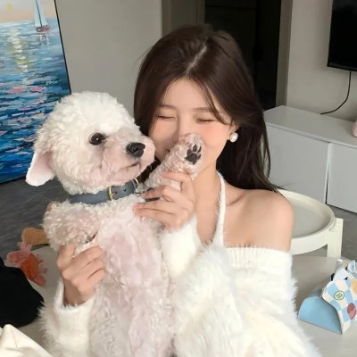 我在岛屿读书